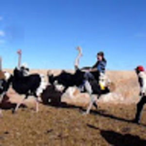 Meet your Posher, Nathan